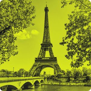 Paris : l'agence ANAVEO est votre partenaire local
